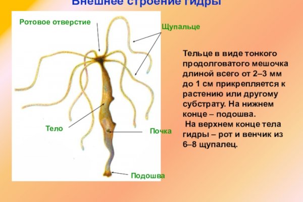 Кракен рабочий сайт