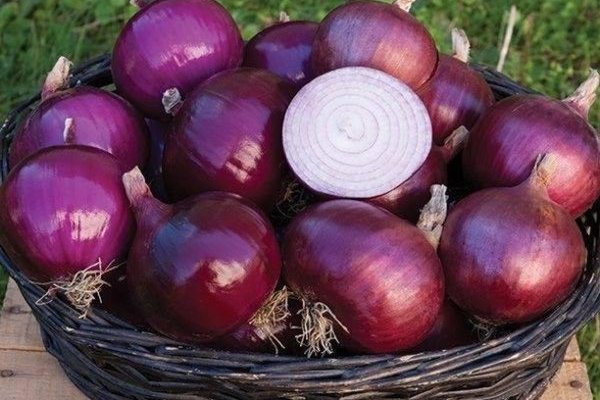 Kraken ссылка onion 2kmp